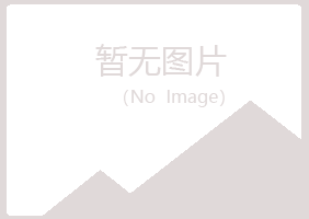 鹤岗兴山惜雪咨询有限公司